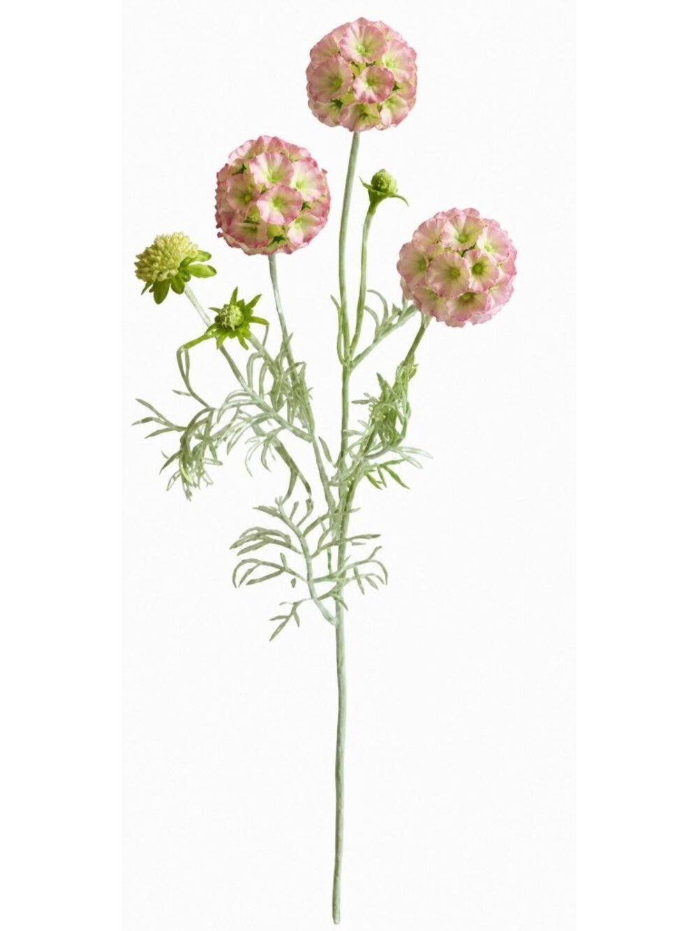 Scabiosa Flower Stems Pink Green Faux Wildflower Floral Filler - Picture 8 of 8